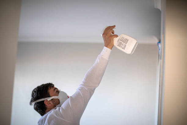 Best Professional Mold Removal  in Bellefontaine Neighbors, MO
